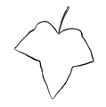 avatar for wayward@bookwyrm.social