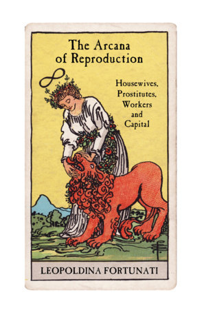 Leopoldina Fortunati, Arlen Austin, Sara Colantuono: Arcana of Reproduction (2025, Verso Books)